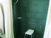 roll-in shower bathroom setup