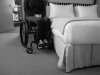 bed height